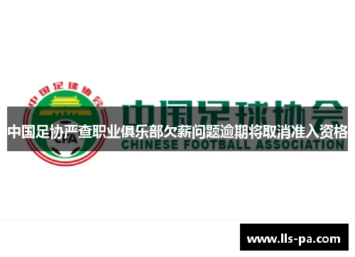 中国足协严查职业俱乐部欠薪问题逾期将取消准入资格 中国足协严查职业俱乐部欠薪问题逾期将取消准入资格