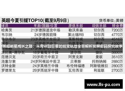英超新星成长之路：从青训到巨星的蜕变轨迹全景解析发展密码探究故事