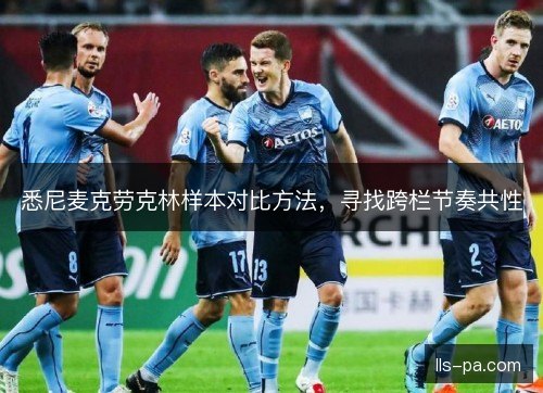 悉尼麦克劳克林样本对比方法，寻找跨栏节奏共性